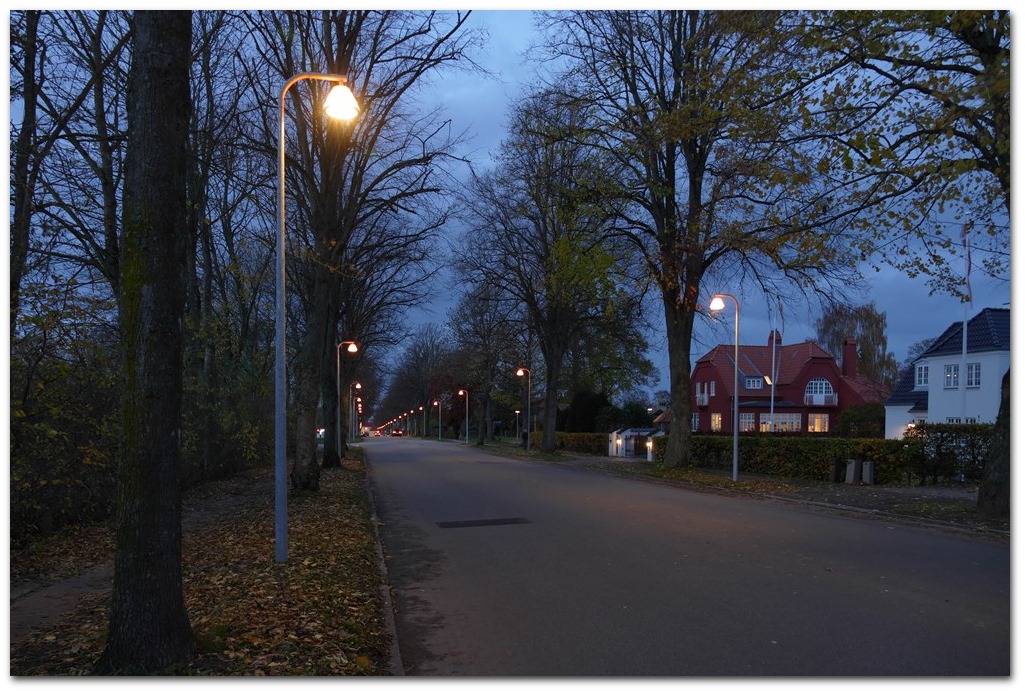 Gadelamper - Slotsaleen